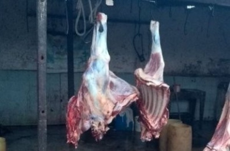 Justiça determina interdição de matadouro após ação do MPMT